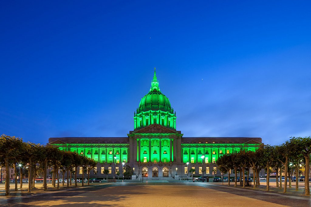 San Francisco City Hall - III